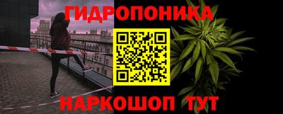 сатива Заводоуковск