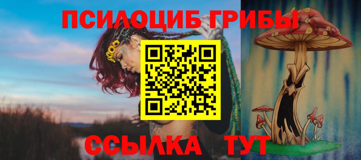 Мелеуз  Галлюциногенные грибы Magic Shrooms  Вход с VPN 